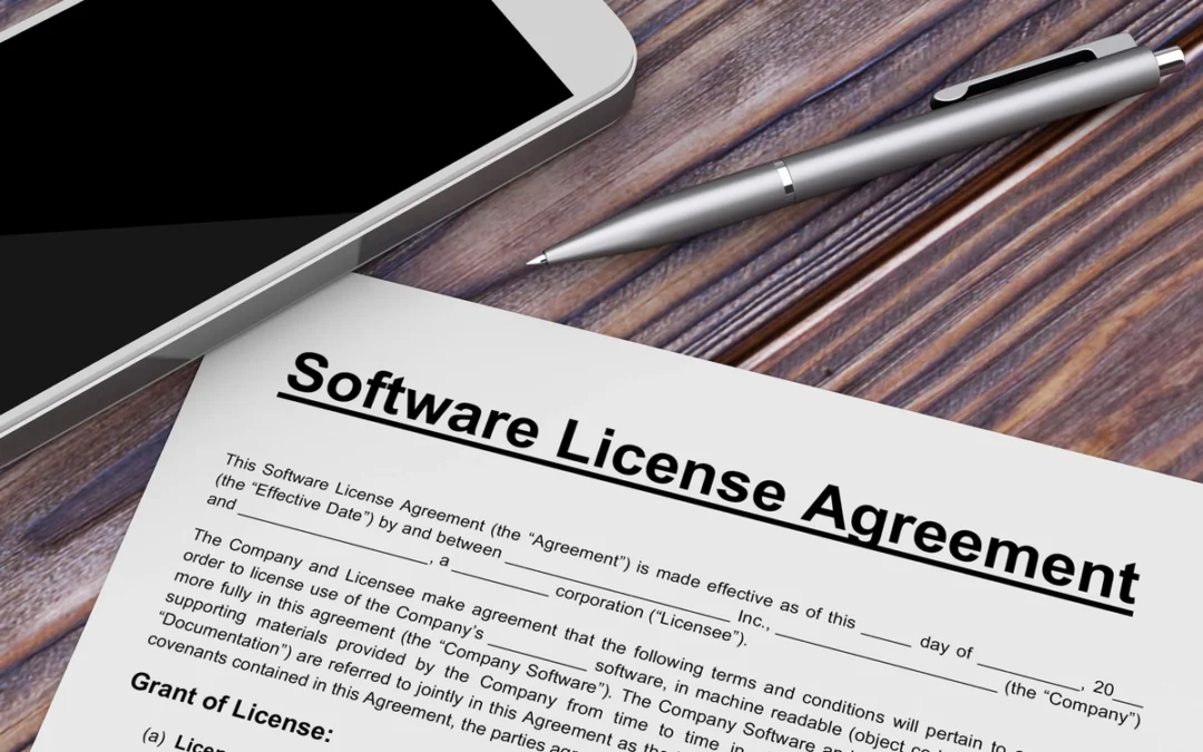 Is it possible to grant a perpetual licence for software?